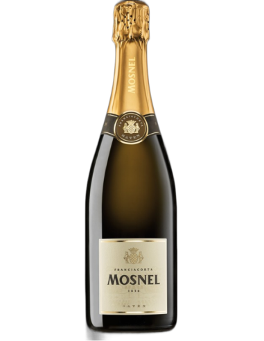 Franciacorta Brut Satèn 2018 -  Mosnel